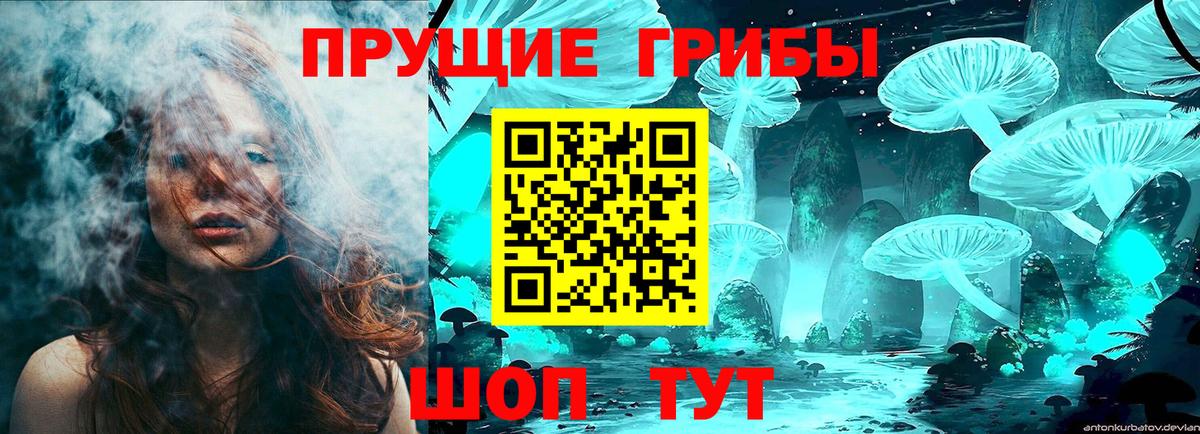Псилоцибиновые грибы Psilocybe Ханты-Мансийск