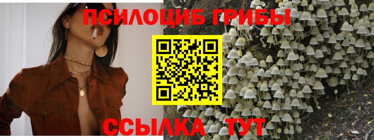 Галлюциногенные грибы Magic Shrooms  Вход с VPN  Ханты-Мансийск 